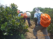 Thumbnail of pic_Wai_097.jpg