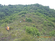 Thumbnail of pic_Wai_104.jpg