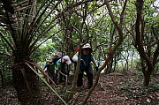 Thumbnail of pic_Amy_Fong_183.JPG