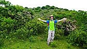 Thumbnail of pic_KW_Liu_012.JPG