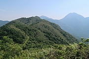 Thumbnail of pic_Amy_Fong_025.JPG