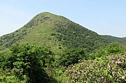 Thumbnail of pic_KL_Sin_018.jpg