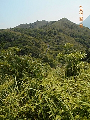 Thumbnail of pic_Sam_Ho_009.JPG