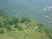 Thumbnail of pic_Wai_006.jpg