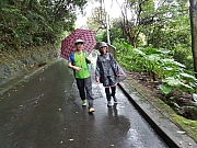 Thumbnail of pic_CL_Yip_029.jpg