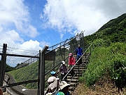 Thumbnail of P6250022.JPG