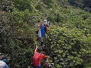 Thumbnail of pic_CL_Yip_031.jpg