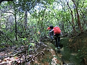 Thumbnail of pic_Victor_Cheng_017.jpg
