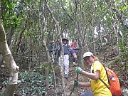 Thumbnail of pic_Wai_077.jpg