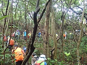 Thumbnail of P7020011.JPG