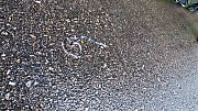 Thumbnail of pic_Victor_Cheng_021.jpg