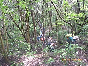 Thumbnail of pic_Wai_017.jpg