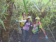 Thumbnail of pic_Wai_031.jpg