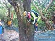 Thumbnail of pic_Wai_084.jpg