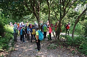 Thumbnail of pic_Tony_Tse_029.jpg