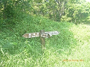 Thumbnail of pic_Wai_028.jpg