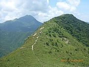 Thumbnail of pic_Wai_050.jpg