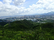 Thumbnail of P8130020.JPG