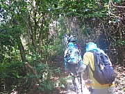 Thumbnail of pic_Wai_012.jpg