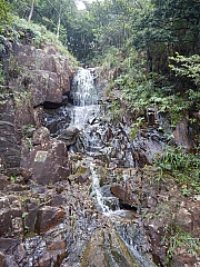 Thumbnail of pic_Billy_Wong_019.JPG
