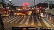 Thumbnail of pic_KC_Leung_099.jpg