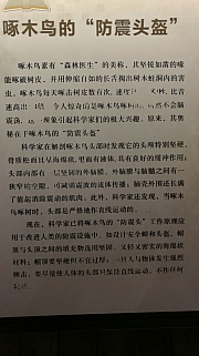 Thumbnail of pic_KC_Leung_128.jpg