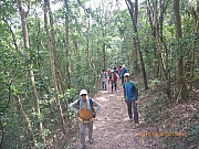 Thumbnail of pic_Wai_028.jpg