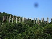 Thumbnail of PA220020.JPG