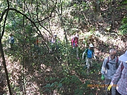 Thumbnail of pic_Wai_015.jpg