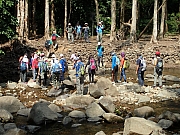 Thumbnail of PA290067.JPG