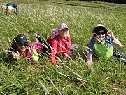 Thumbnail of pic_T_Chan_023.jpg