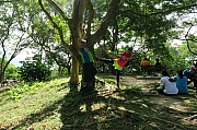Thumbnail of pic_KL_Sin_053.JPG
