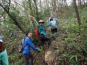 Thumbnail of PB190034.JPG