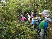 Thumbnail of pic_CL_Yip_016.jpg