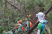 Thumbnail of pic_Tony_Tse_021.jpg