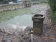 Thumbnail of pic_Wai_066.jpg