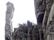 Thumbnail of PB250224.JPG
