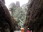 Thumbnail of PB250269.JPG