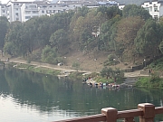 Thumbnail of PB260503.JPG