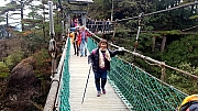 Thumbnail of pic_CL_Yip_236.jpg