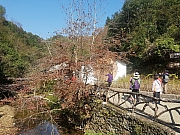 Thumbnail of pic_CL_Yip_335.jpg