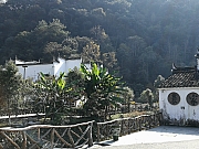 Thumbnail of pic_CT_Leung_218.jpg