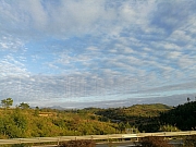 Thumbnail of pic_CT_Leung_260.jpg