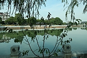 Thumbnail of pic_Grassy_Yuen_030.JPG