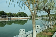 Thumbnail of pic_Grassy_Yuen_031.JPG