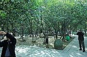 Thumbnail of pic_Grassy_Yuen_041.JPG