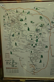 Thumbnail of pic_Grassy_Yuen_076.JPG