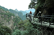 Thumbnail of pic_Grassy_Yuen_117.JPG