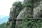 Thumbnail of pic_Grassy_Yuen_134.JPG