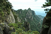 Thumbnail of pic_Grassy_Yuen_237.JPG